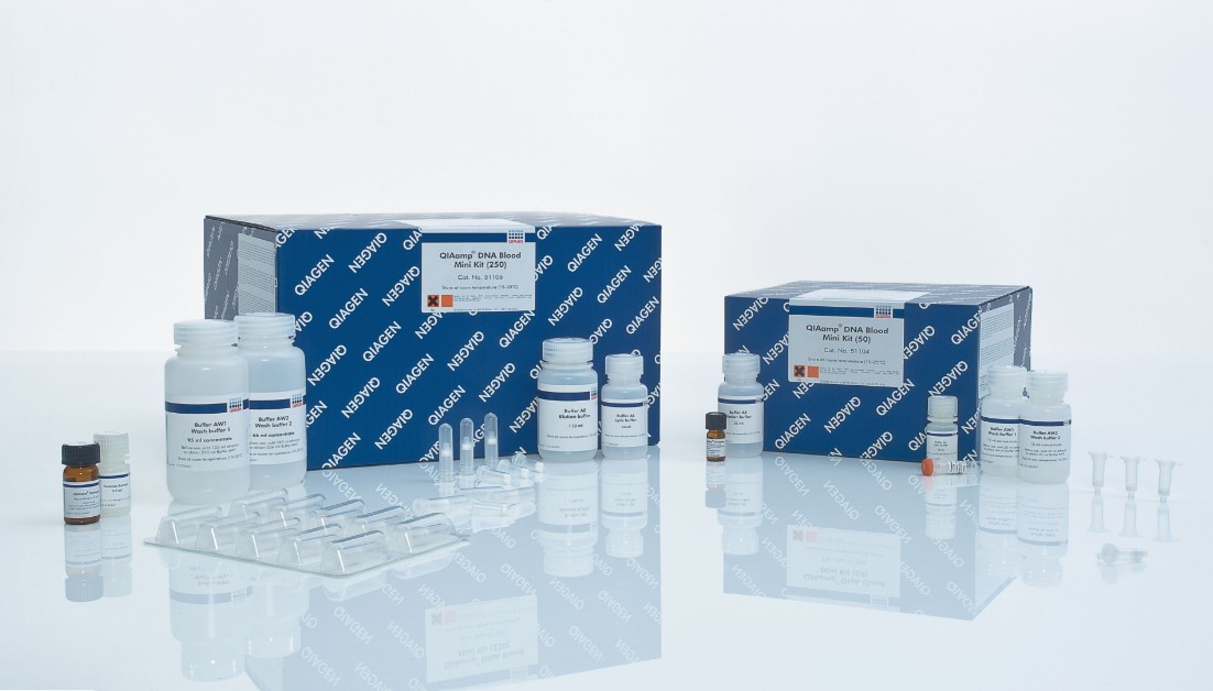 51104 QIAamp DNA Blood Mini Kit (50)