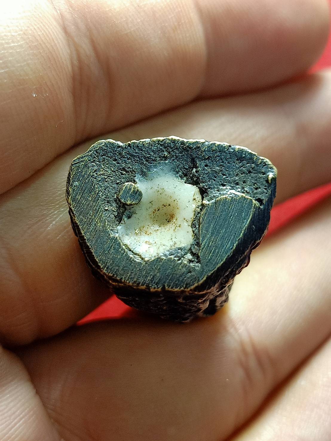 รูปหล่อโบราณพระอาจารย์ฉลวย รุ่นแรก วัดเขาสมอคอน อ.ท่าวุ้ง จ.ลพบุรี (SKU-05515)