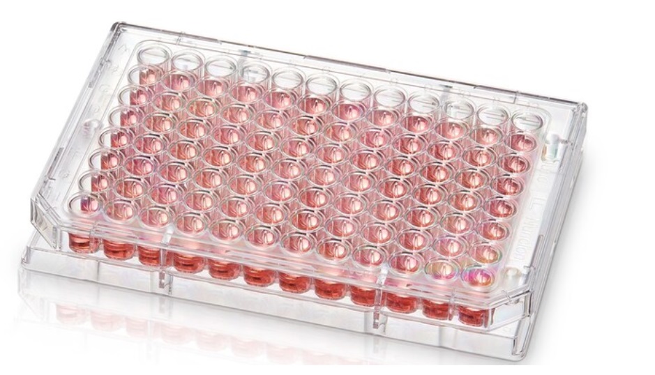 268152 96U-well,Non-treated,180/cs