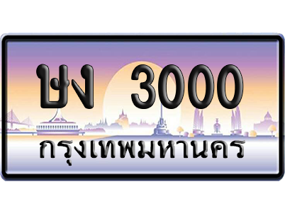 ทะเบียน 3000 ป้ายประมูล – ษง 3000 ผลรวมดี 9 เลขร้อยพัน (สวย)