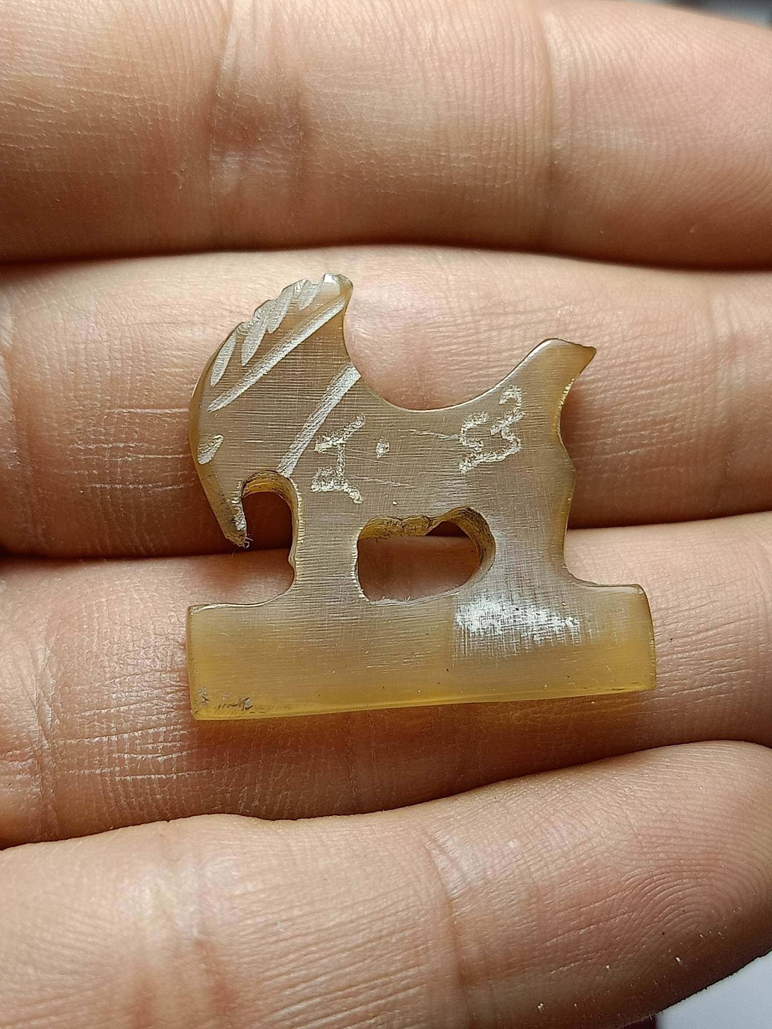 แพะเขาแกะ(SKU-01630)