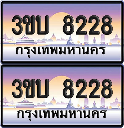ทะเบียน PAITABIEN 8228 – เลขประมูล 3ขบ 8228 (1)