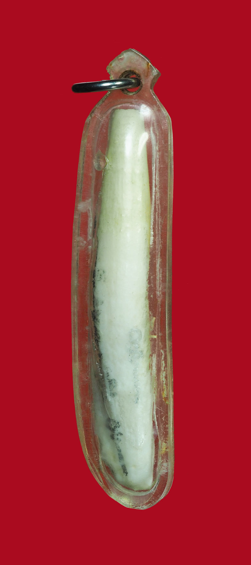 *30665 กระดูกห่าน จารด้วยปากกาสีบรอนซ์ เงิน เลี่ยมพลาสติกเก่าพอมีอายุ ไม่ทราบที่ 12