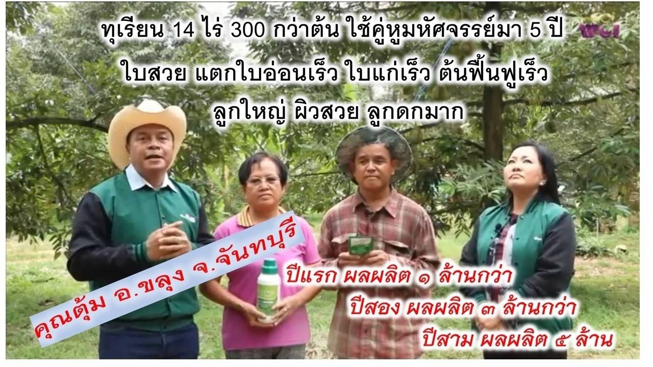 รีวิวสวนทุเรียนใช้เวืลด์แพลนท์