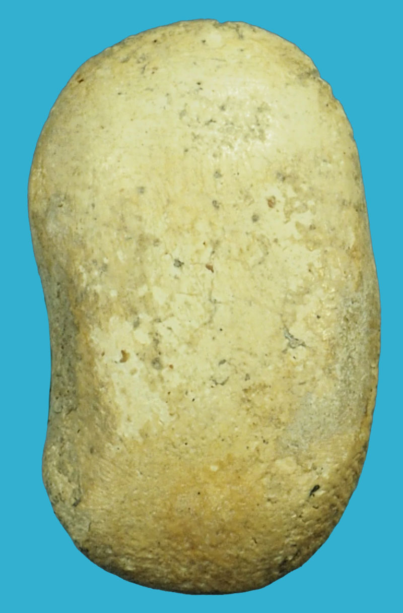 *37172 พระพิมพ์กรุ วัดพลับ เนื้อผงน้ำมัน สภาพใช้เจ้าของเดิมเลี่ยมกรอบเปิดหน้า เนื้อจัด 9