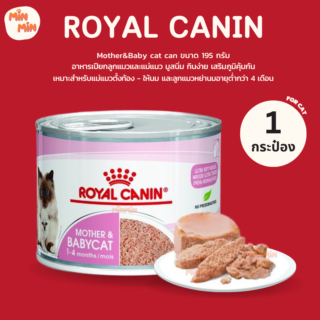 [ 1 กระป๋อง ] Royal Canin Starter Mother & Baby Cat Can อาหารเปียกแม่แมวตั้งท้อง-ให้นม และ ลูกแมว อายุต่ำกว่า 4 เดือน