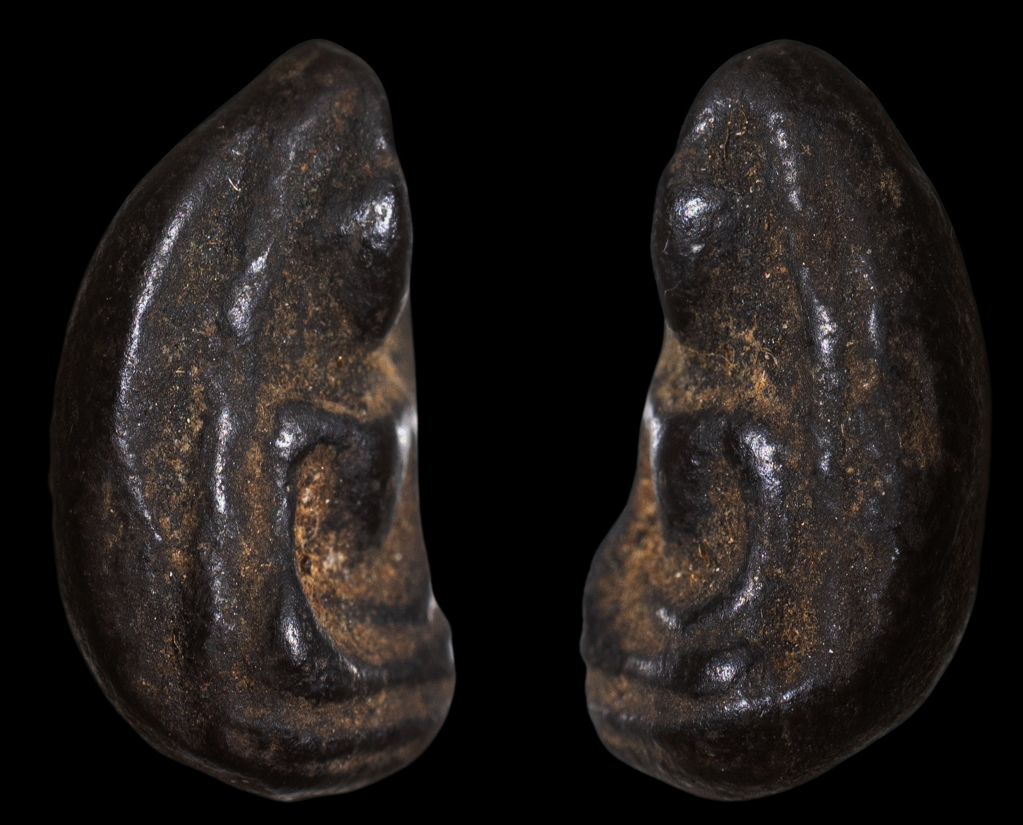 พระเม็ดน้อยหน่า หลังอุ ออกกรุวัดศาลาปูน จังหวัด อยุธยา เนื้อดินเผาผสมใบลานสีดำ