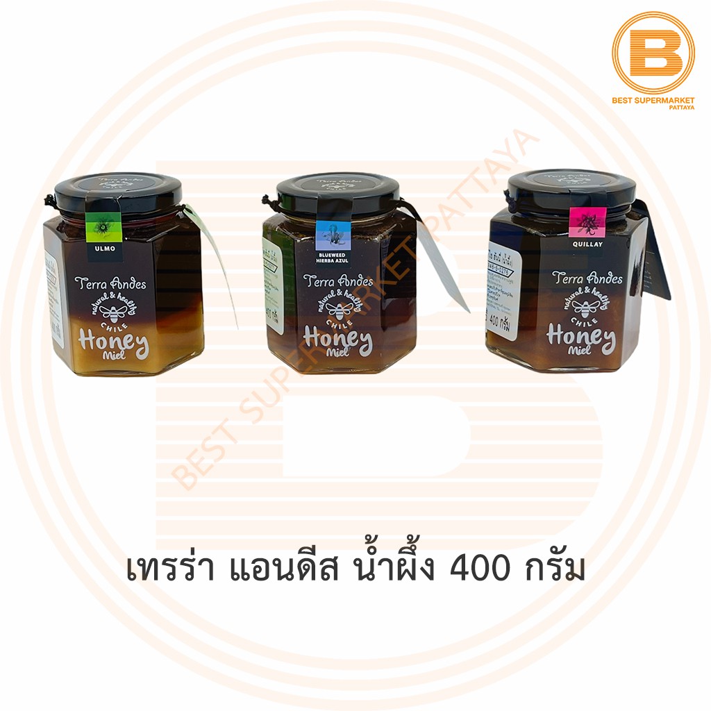 เทรร่า แอนดีส น้ำผึ้ง จากประเทศชิลี 400 กรัม Terra Andes Natural & Healthy Chile Honey 400 g.