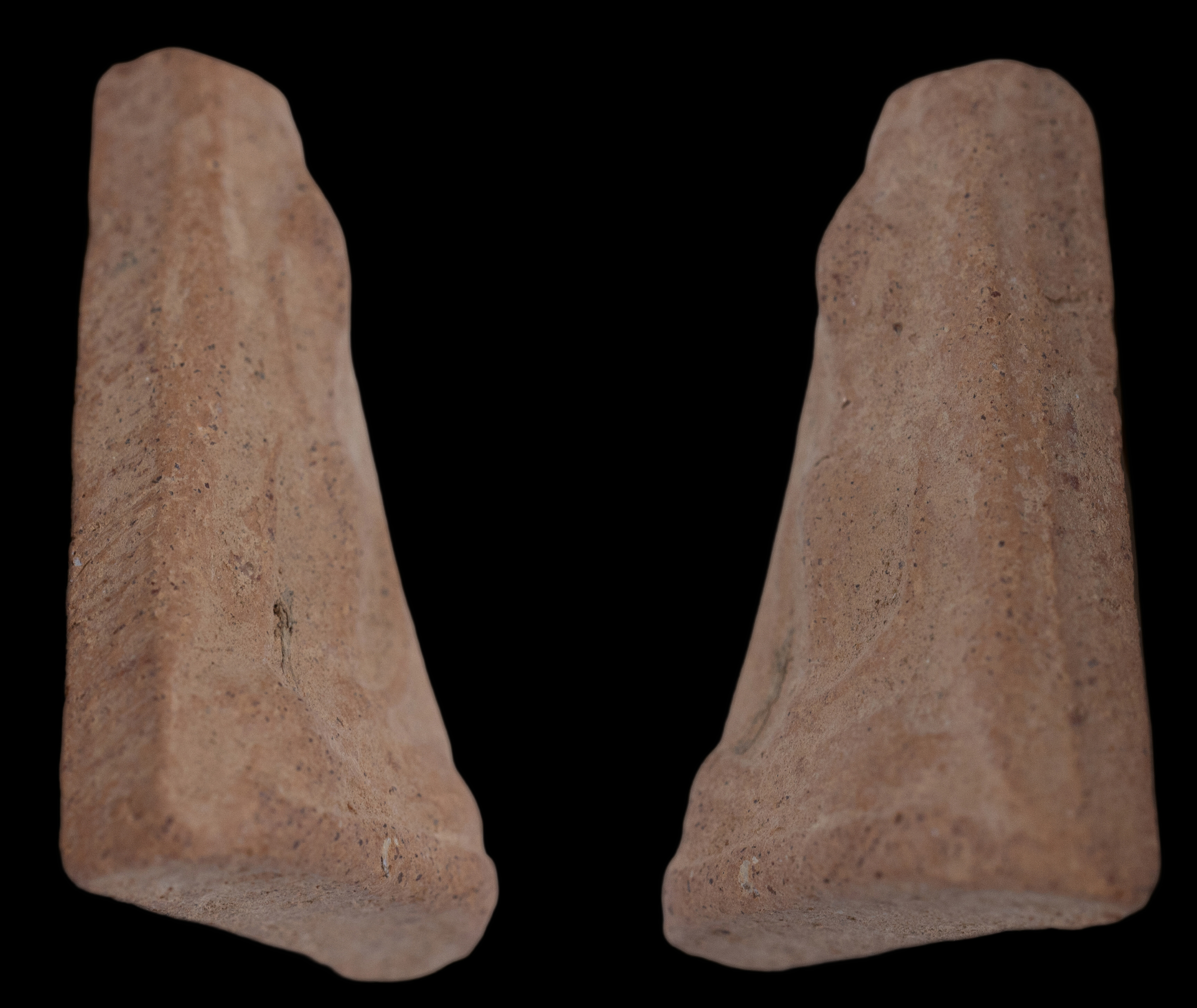 พระผงสุพรรณเนื้อดิน หลวงพ่อมุ่ย วัดดอนไร่ สุพรรณบุรี ปี 2511