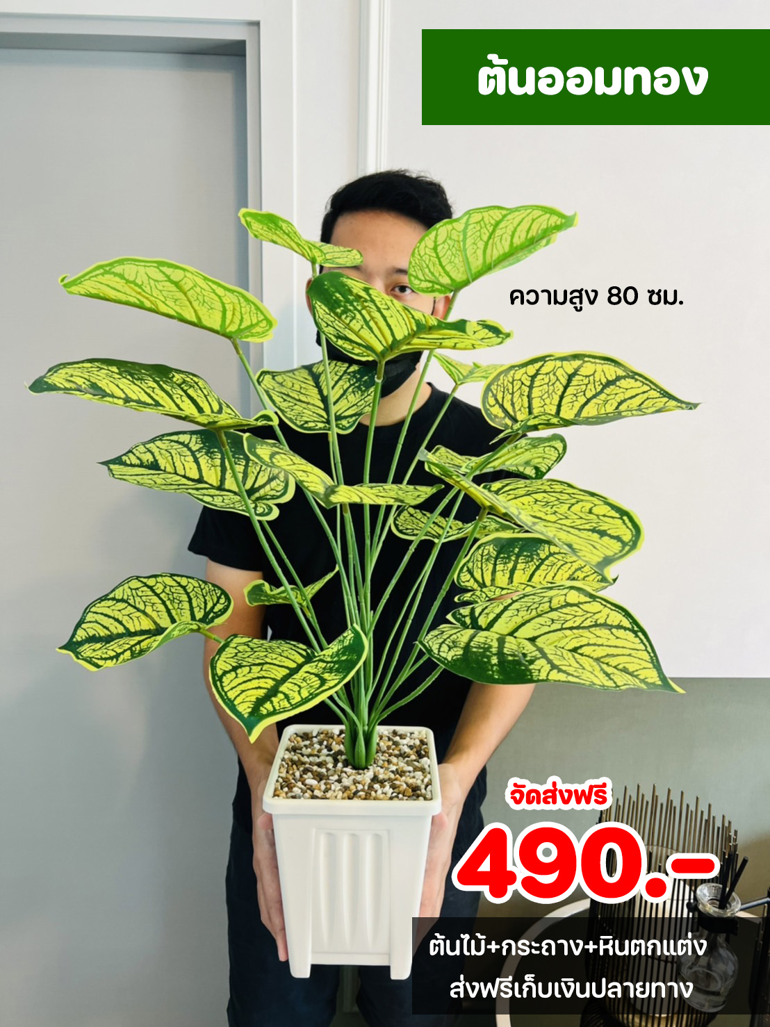 ต้นไม้ปลอม ขนาดความสูง 80 ซม. กระถางสี่เหลี่ยม พร้อมหินตกแต่ง