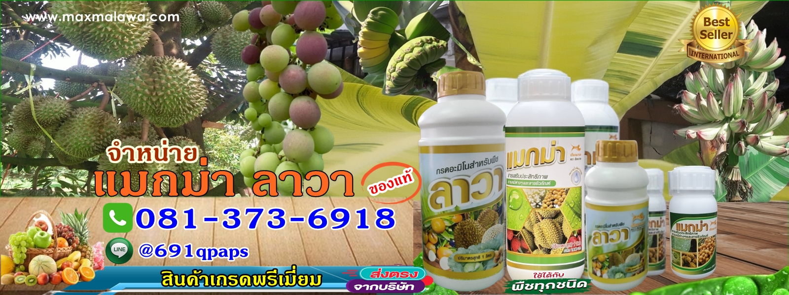 MAXMA THAILAND