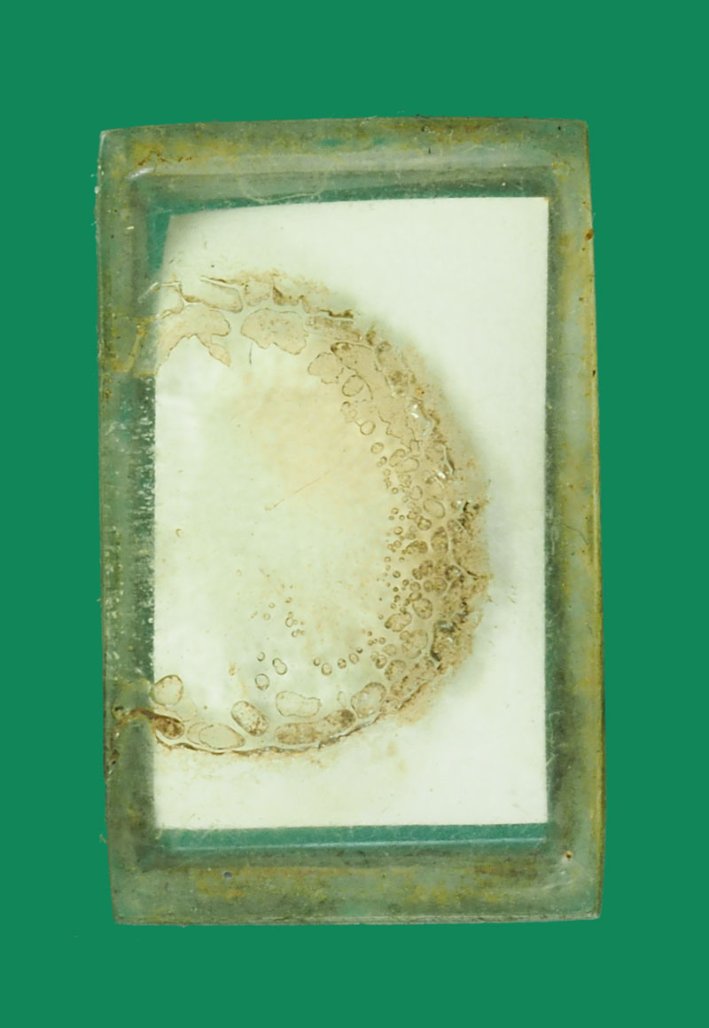 *32251 รูปถ่ายหลุดมาจากล็อกเก็ตหลวงพ่อกัน วัดเขาแก้ว นครสวรรค์ 40