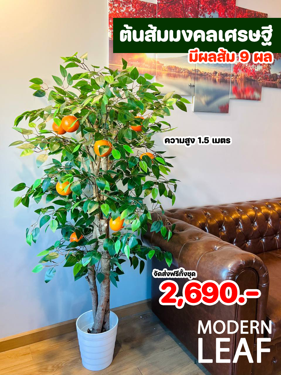 ต้นส้มมงคลเศรษฐีปลอม ขนาดความสูง 1.5 เมตร