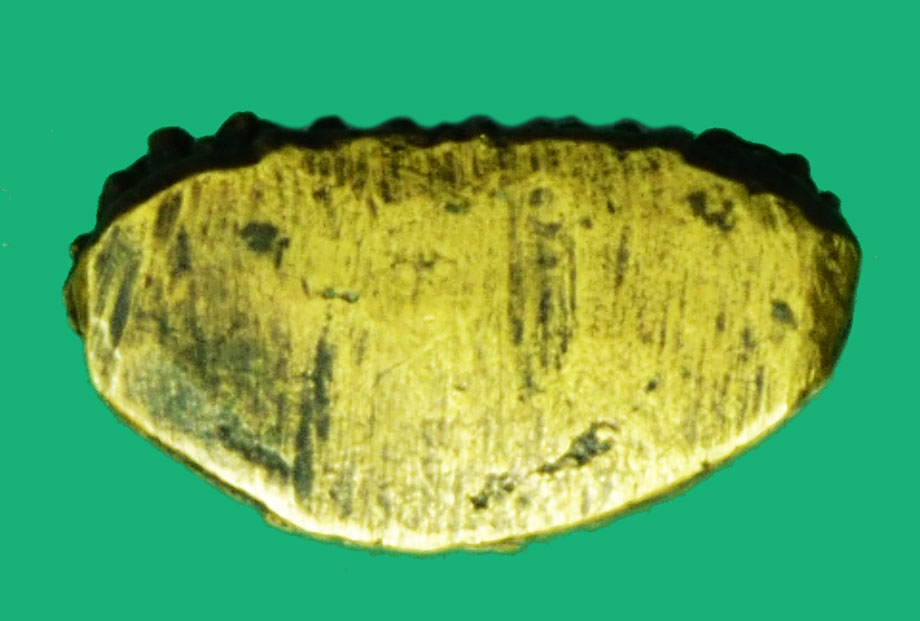 *36631 พระพุทธชินราช พิมพ์หลวงพรหมโยธี ปี 2493 แต่ใต้ฐานไม่มีตราอกเลา (เป็นไปได้ที่ใต้ฐานอาจหล่อไม่ติด)เนื้อโลหะผสม 13