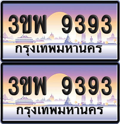 ทะเบียน PAITABIEN 9393 – เลขประมูล 3ขพ 9393 (6)