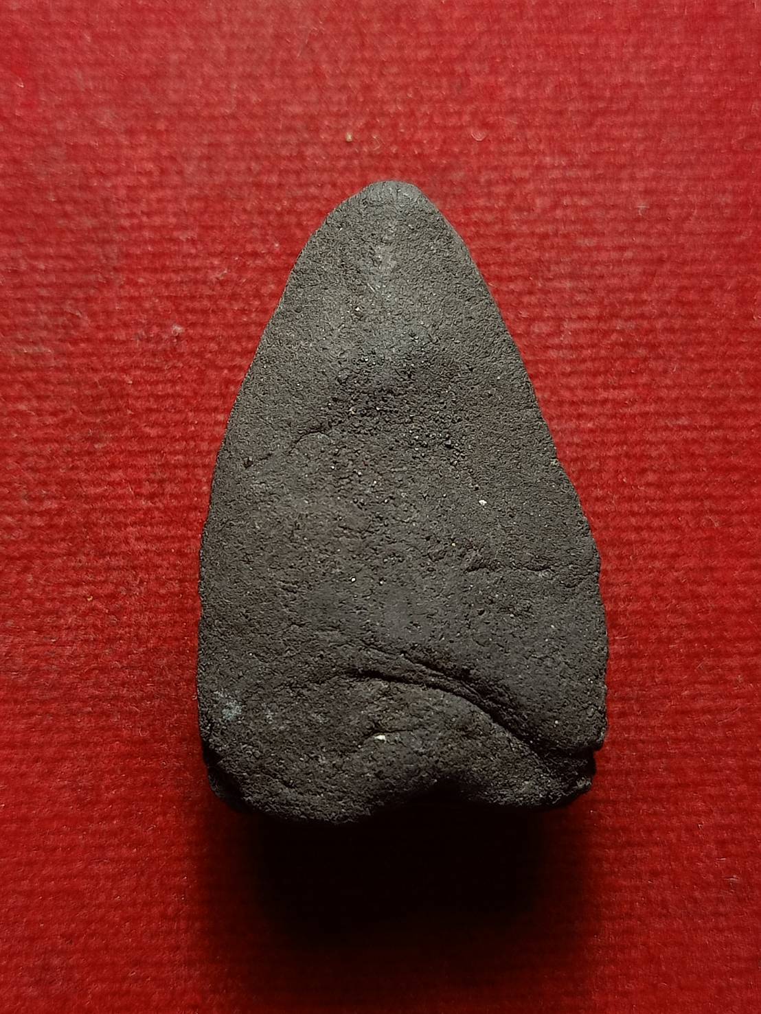 หลวงพ่อทวด พิมพ์ต้อใหญ่ พ่อท่านพล วัดนาประดู่ จ.ปัตตานี พ.ศ.2539 (SKU-08591)