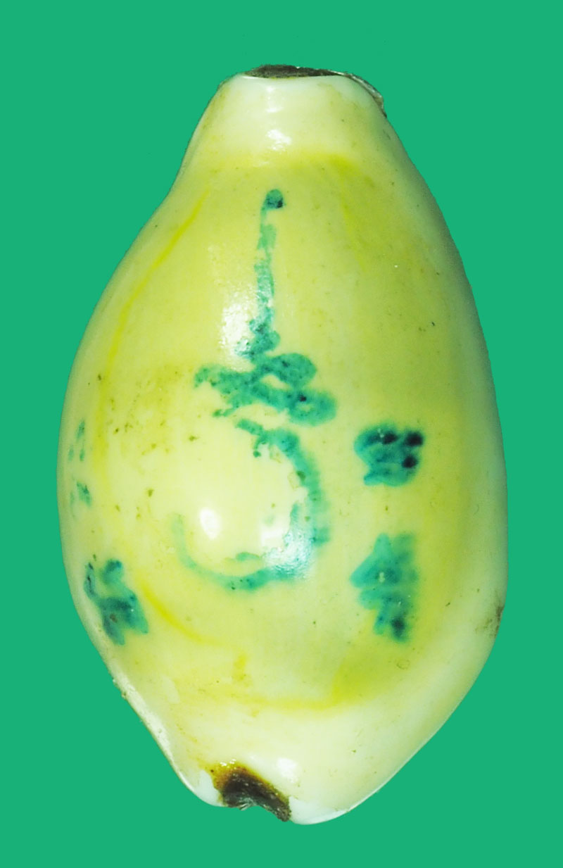 *38839 เบี้ยแก้ เเป๊ะด้วยแผ่นมีจารหน้าหลัง ไม่ทราบที่และปีสร้าง 12