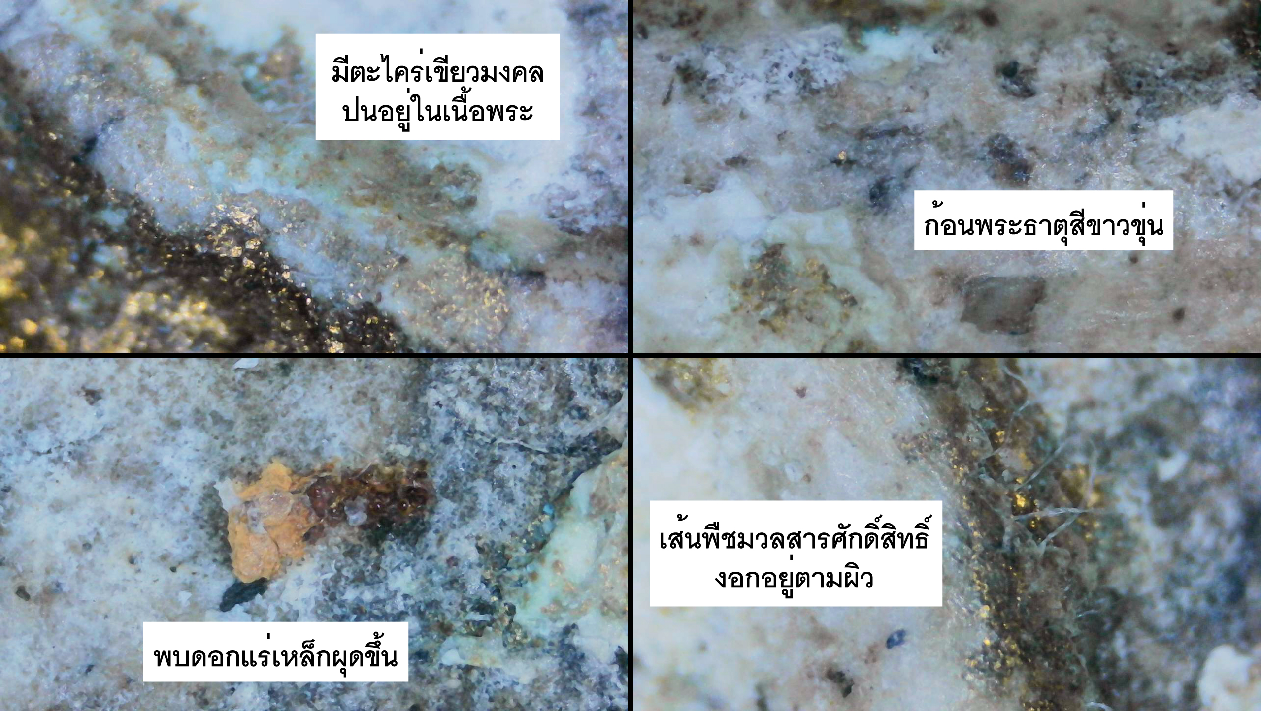 พระสมเด็จผงตะไคร่ใบเสมา ปิดทอง