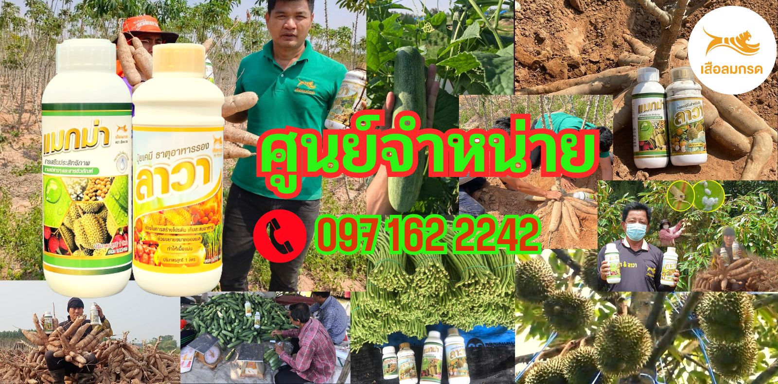 ศูนย์จำหน่ายแมกม่าแห่งประเทศไทย