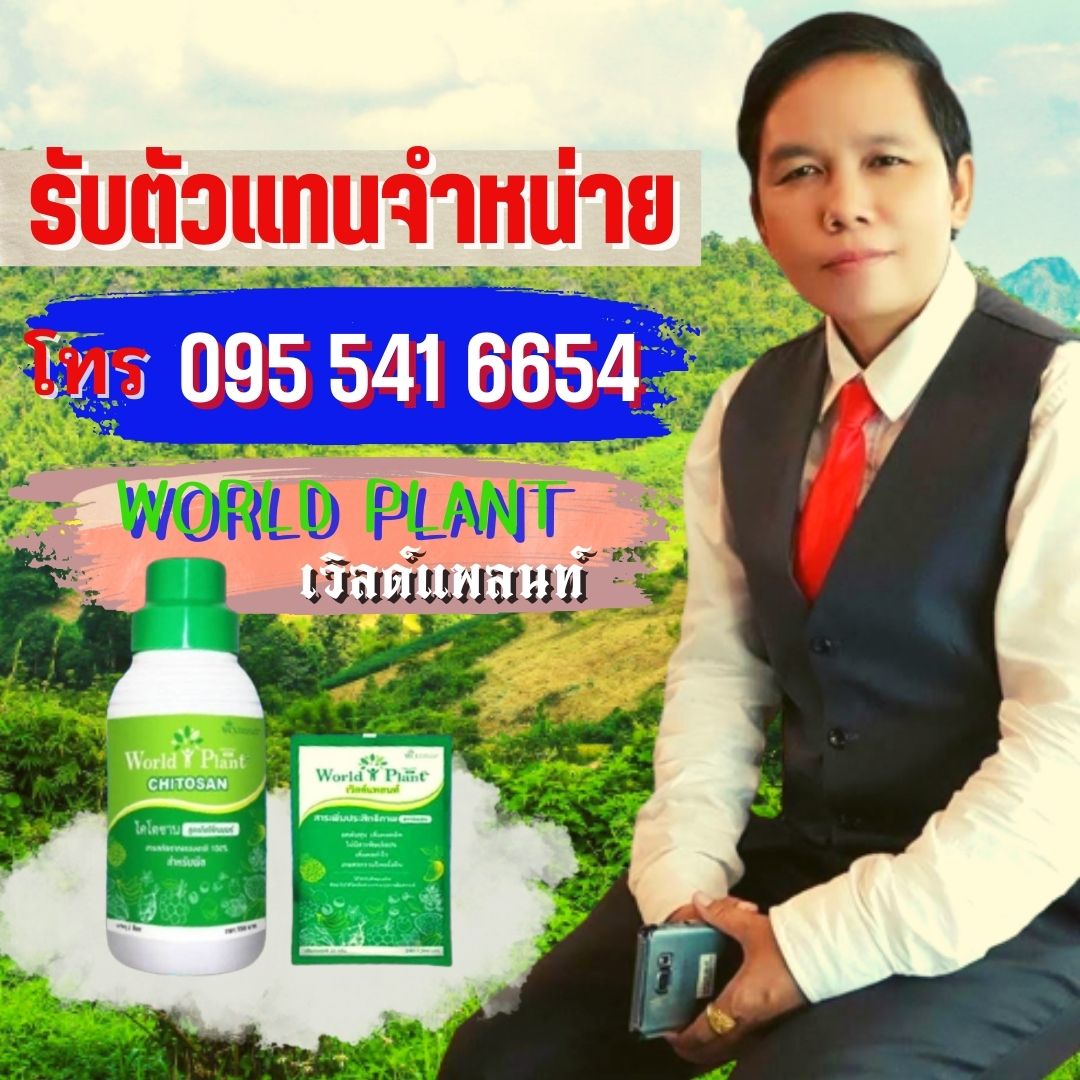 ตัวแทนจำหน่ายเวิลด์แพลนท์
