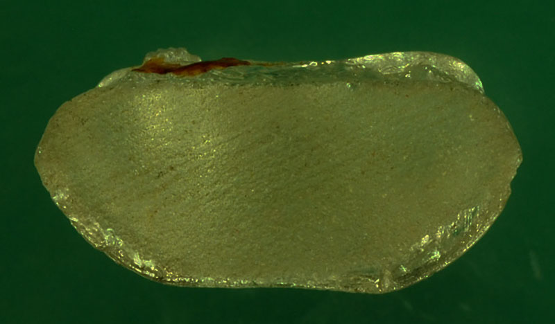 *29592 พระแก้ว สีขาว ไม่ทราบที่และปีสร้าง 8