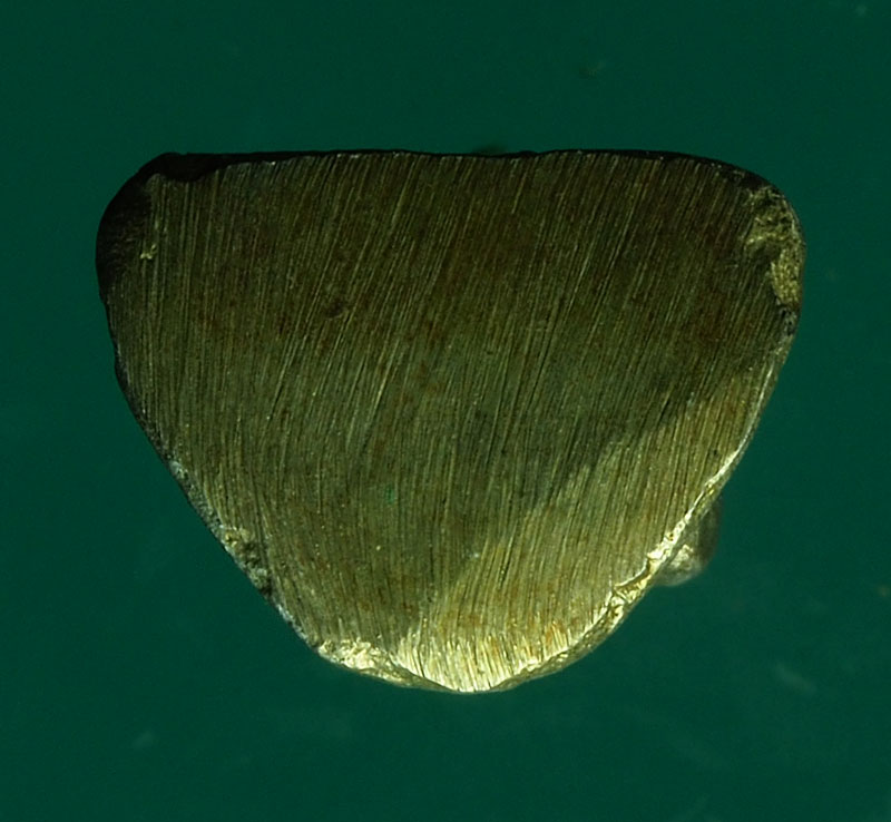 *28541 รูปหล่อหลวงปู่ศุข วัดปากคลองมะขามเฒ่า ชัยนาท 27