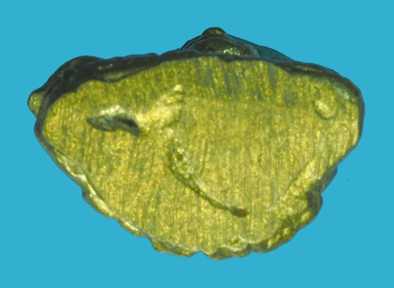 *39550 รูปหล่อโบราณ เนื้อทองเหลือง มีแต่งตะไบ ไม่ทราบที่และปีสร้าง 3