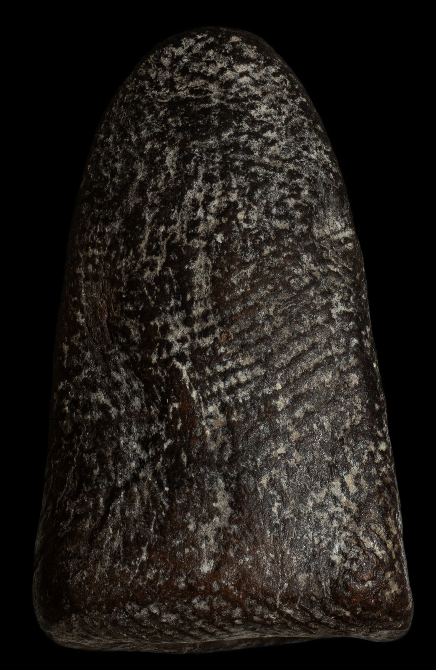 พระรอดหลวงพ่อกวย เนื้อใบลานผสมผงน้ำมัน หลวงพ่อกวย วัดโฆสิตาราม ชัยนาท