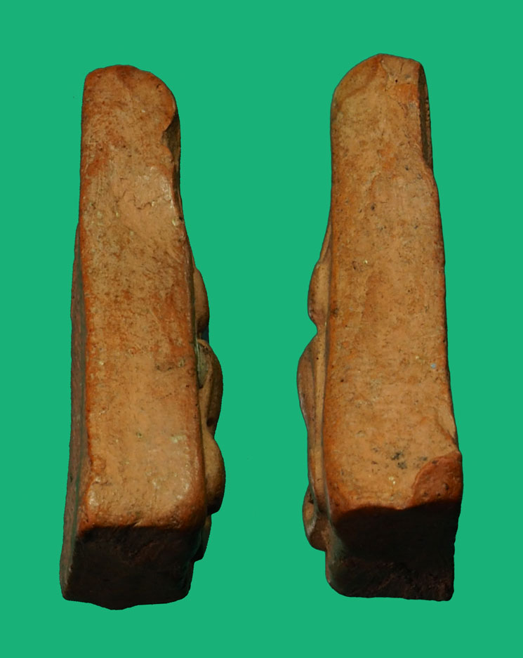 คิวจอง*35070 นางพญาหูบายศรี กรุบึงสามพัน อุตรดิตถ์ เนื้อดิน 13