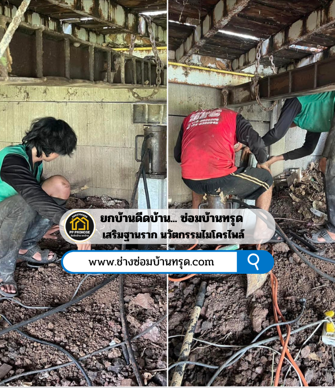ช่างปิดโพรงใต้บ้าน ช่างปิดโพรงใต้บ้าน