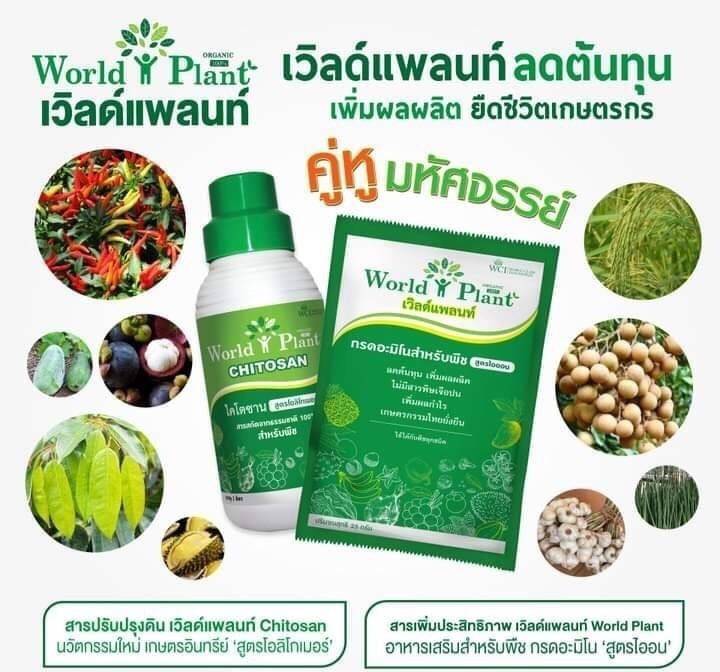 worldplant สำนักงานใหญ่
