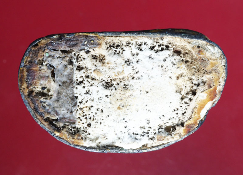 *28973 พระรัตนะ ลงทองบรอนซ์ เก่ามีอายุ เนื้อชินตะกั่ว 13