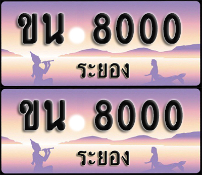 ทะเบียนรถ 8000 – ขน 8000 ผลรวมดี 15 ระยอง (1)