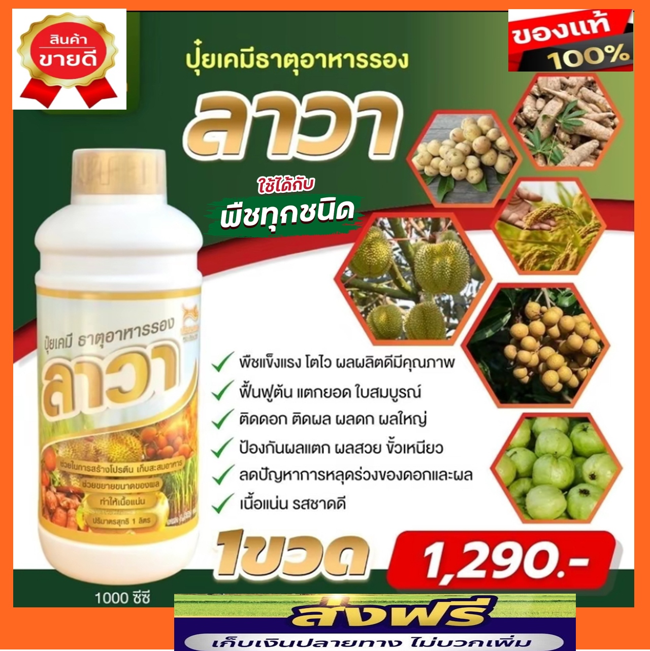 ปุ๋ยน้ำลาวา (Lawa) 1 ขวด บรรจุ 1000 ซีซี ช่วยเร่งการเจริญเติบโต แตกยอดดี ใบเขียวเข้ม เร่งดอก เร่งผล ลำต้นแข็งแรง ต้านทานต่อโรคพืช