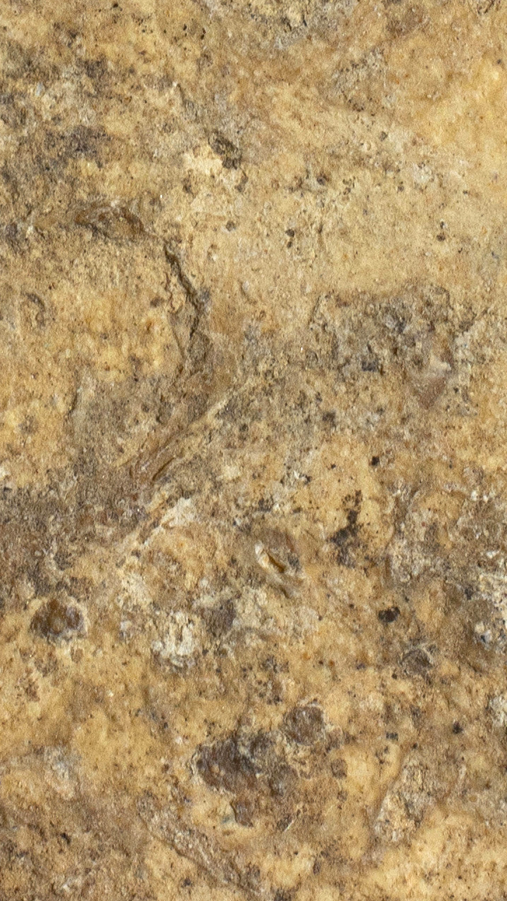 พระกรุวัดคู้สลอด เนื้อผง พิมพ์หนุมาน บรรจุลงกรุ หลวงพ่อปานปลุกเสก