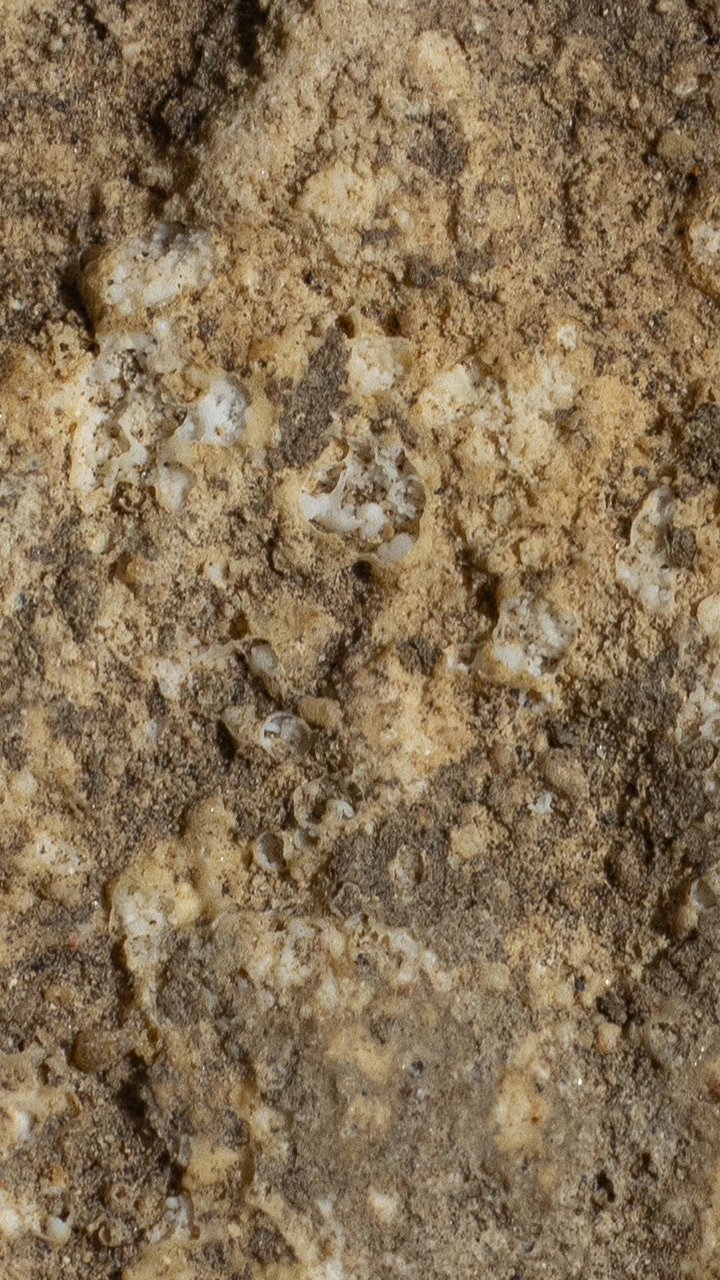 พระสมเด็จปิลันทน์ พิมพ์ซุ้มประตู