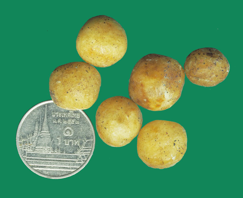 *32435 ลูกอมสีผึ้งเทียน ไม่ทราบที่และปีสร้าง 12