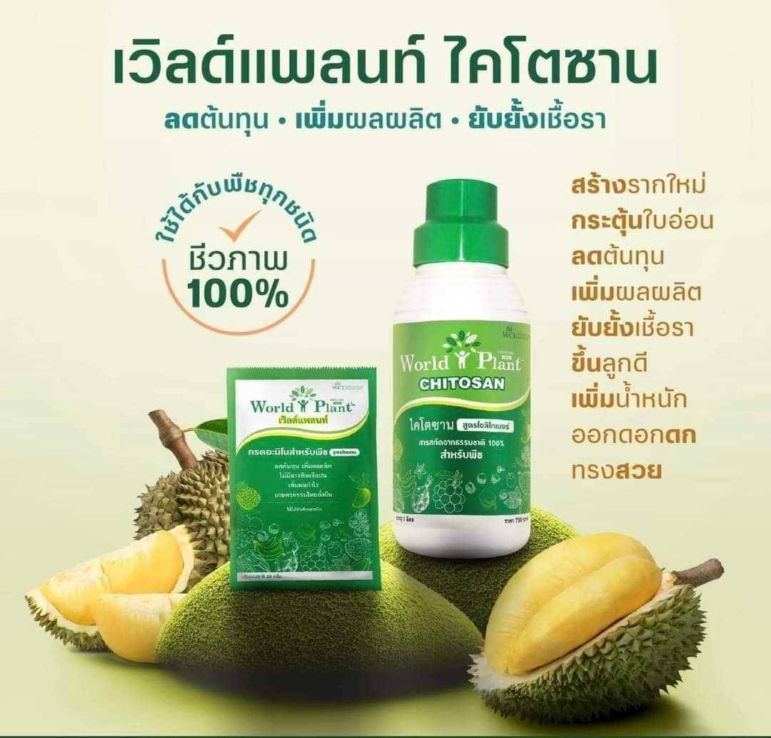 เวิลด์แพลนท์ลดค้นทุน