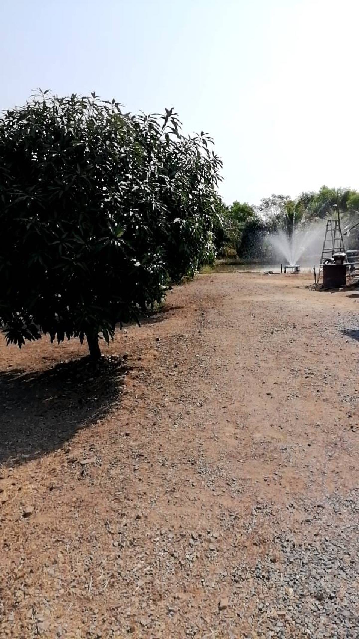 ขายที่ดินฉะเชิงเทรา 1 ไร่ 3 งาน | ติดถนน 60 ม. น้ำไม่ท่วม วิวสวย เจ้าของขายเอง