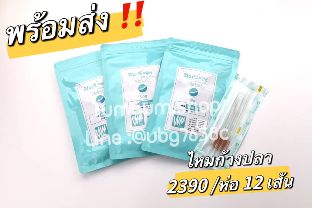 ไหมก้างปลา cog เกาหลี ยกกระชับที่แตกต่างแล้วยังสามารถเห็นผลสุดจึ้งได้ทันที 1 ห่อ 12 เส้น