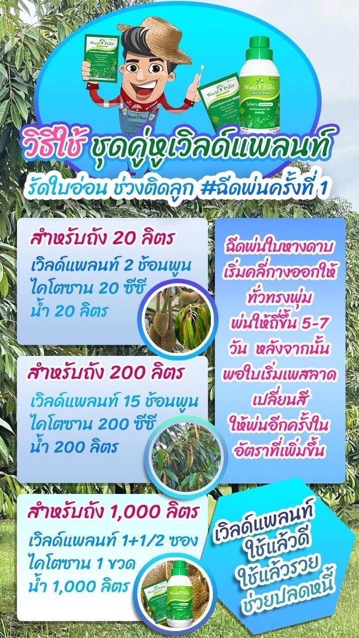 วิธีการใช้ชุดคู่หูเวิลด์แพลนท์