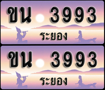 ทะเบียนรถ 3993 – ขน 3993 ระยอง (1)