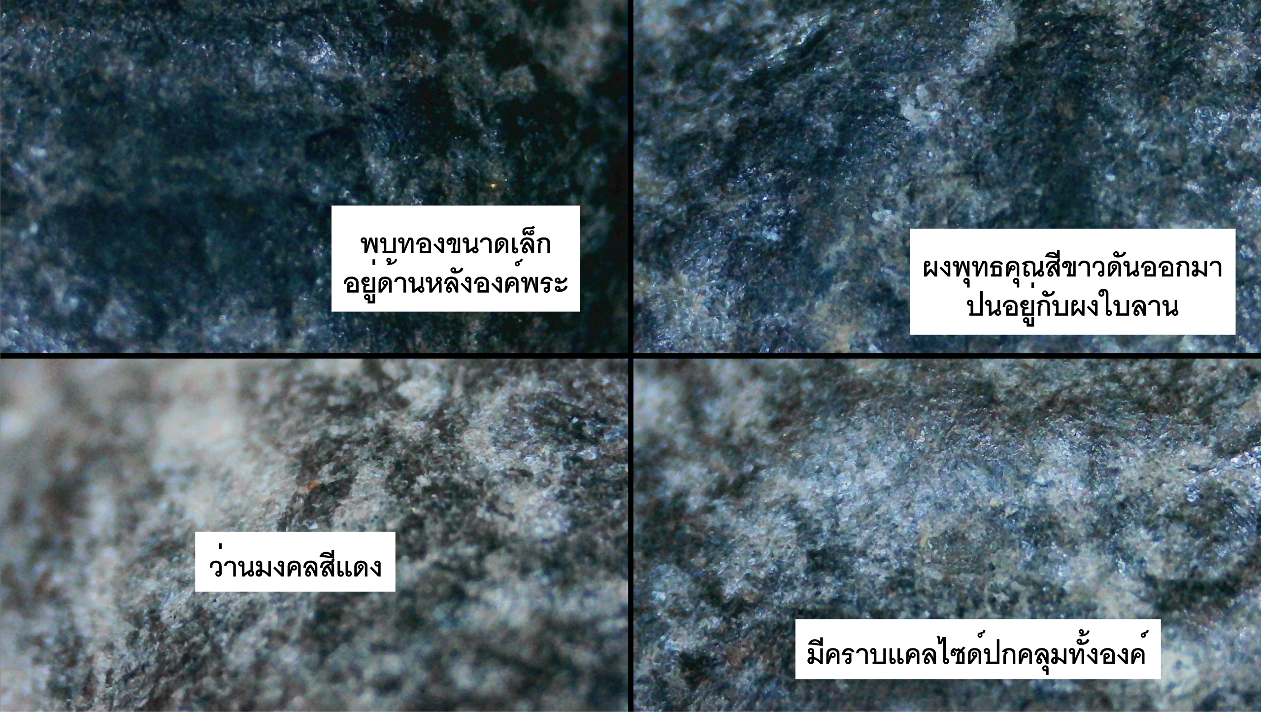 พระรอดเนื้อดิน หลวงพ่อมุ่ย วัดดอนไร่ สุพรรณบุรี ยุคต้น