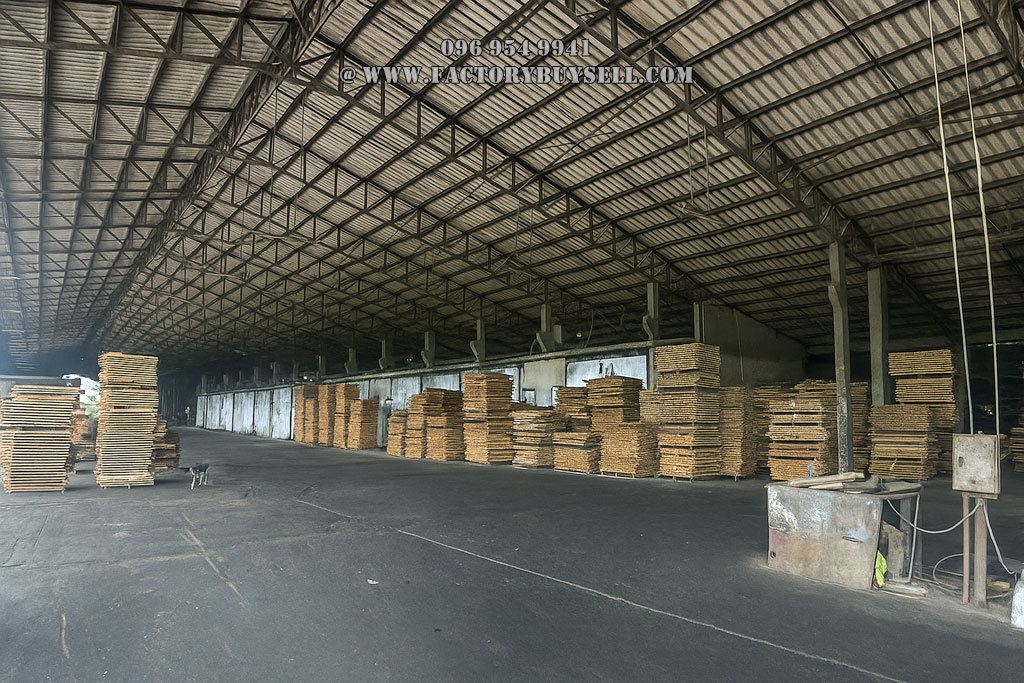 ขายโรงงานไม้แปรรูป ยะลา | รง.4 เขตสีม่วง 35 ไร่ | พร้อมเครื่องจักรและลูกค้าจีน - ราคาพิเศษ