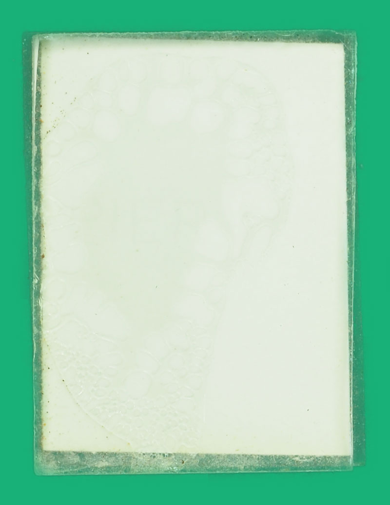 *35568 รูปถ่ายอัดกระจก หลวงพ่อแบบ วัดพุน้อย บ้านหมี่ ลพบุรี 69