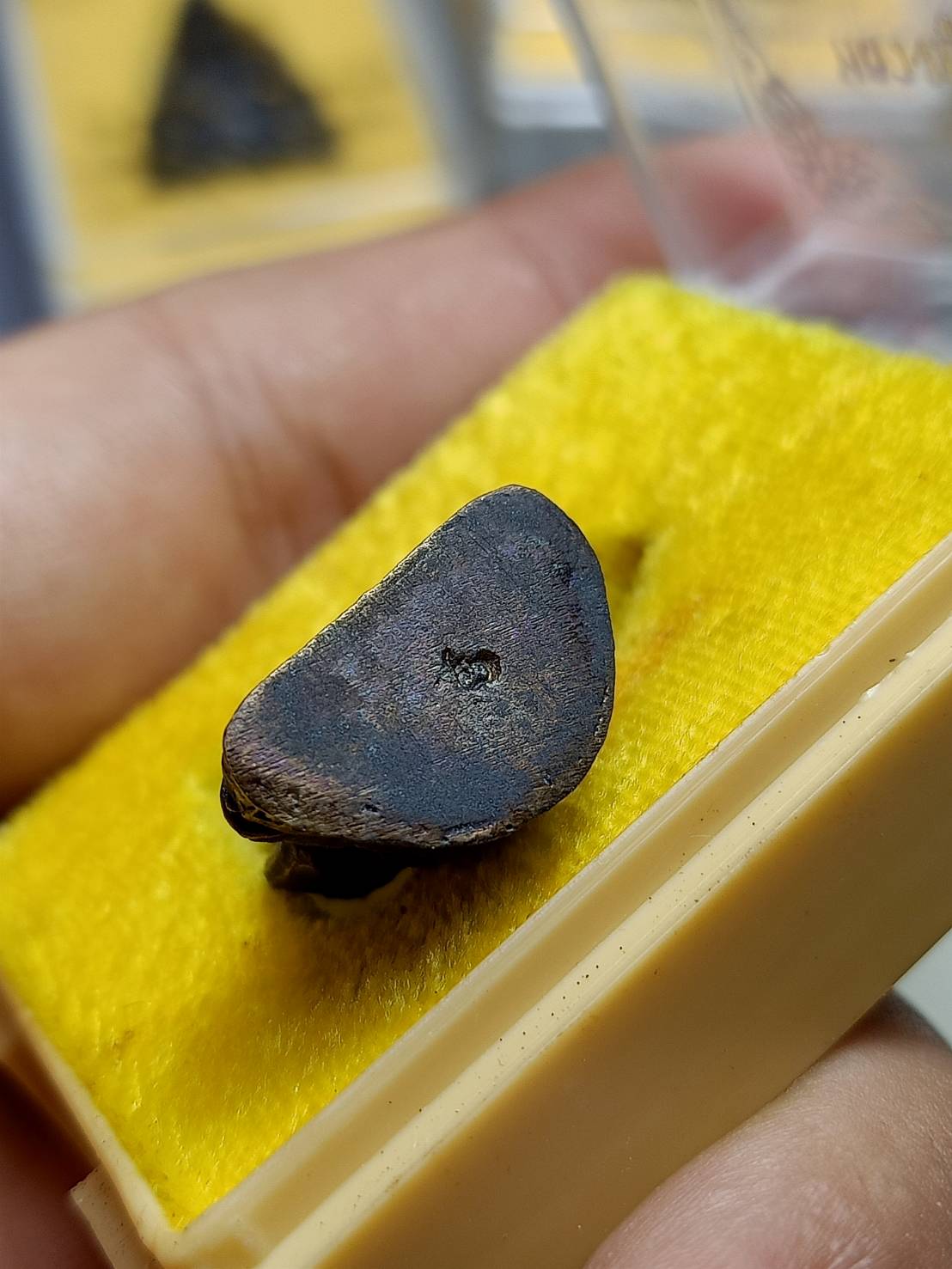 รูปหล่อหลวงพ่อเมี้ยน รุ่นพิเศษ ส.จ สร้าง วัดโพธิ์กบเจารุ่น จ.อยุธยา พร้อมกล่อง (SKU-07372)