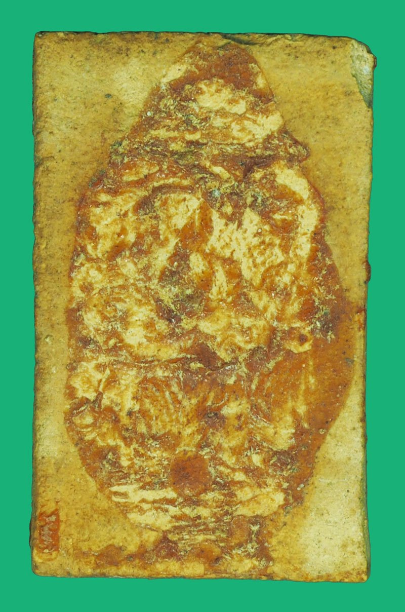 ขายแล้ว*38109 พระสมเด็จ วัดเกาะลอย ระยอง ปี 2514 เนื้อผง (หลวงปู่ทิม วัดละหารไร่ ร่วมปลุกเสก) 67