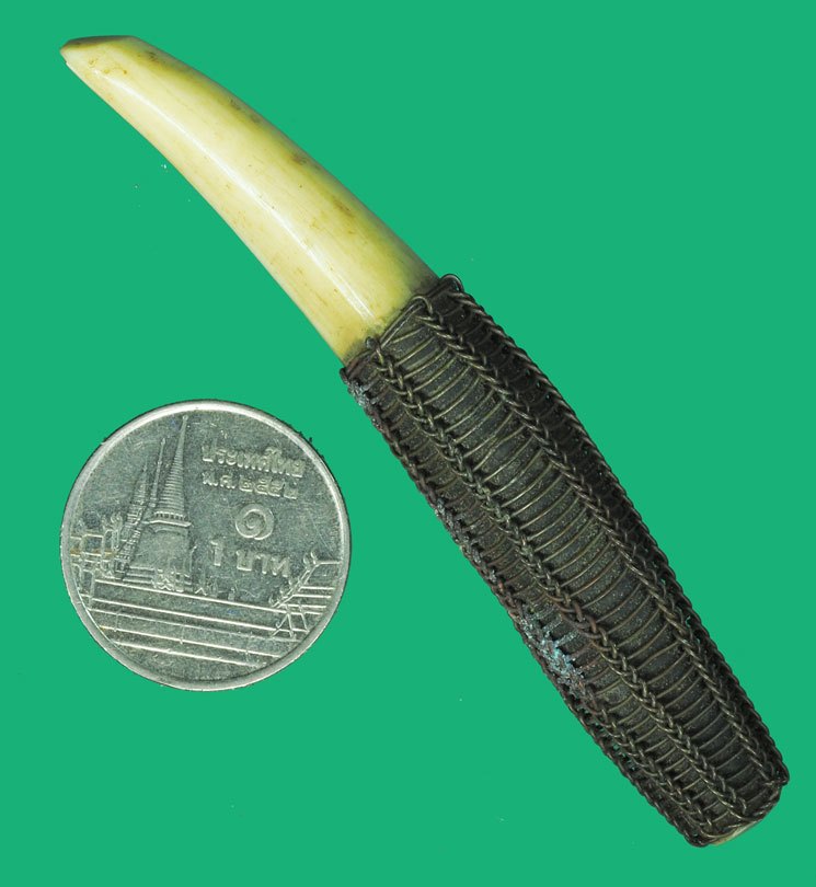 *38121 เขี้ยวถักลวดโบราณ เก่าไม่ทราบที่และปีสร้าง 12