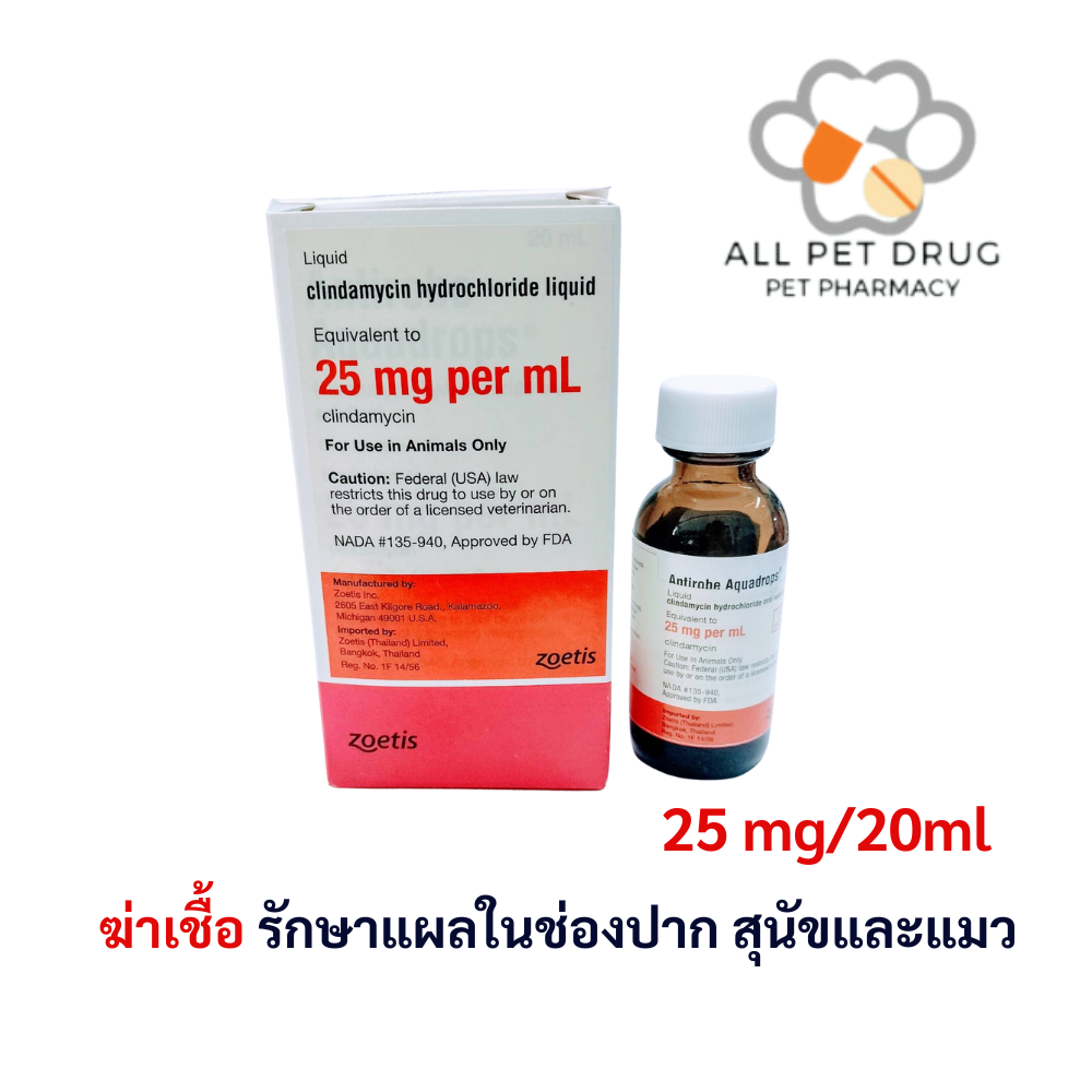 Antirobe Aquadrops 25mg/20ml **Exp.08/2024** ฆ่าเชื้อรักษาแผลในช่องปาก สุนัขและแมว