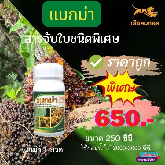 สารเสริมประสิทธิภาพ แมกม่า Maxma ขนาด 250 CC
